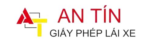 Đổi bằng lái xe nước ngoài sang Việt Nam tại TpHCM 2